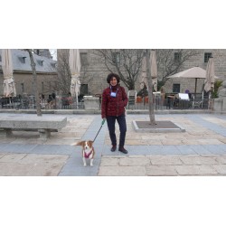 "Dog friendly" tour in San Lorenzo de El Escorial