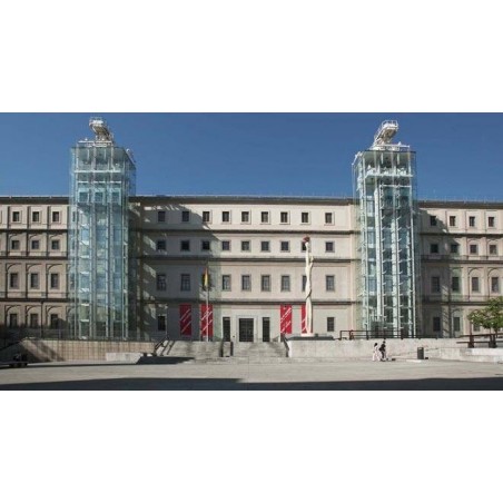 Visites guidées du Musée Reina Sofia avec guide conférencier de Madrid