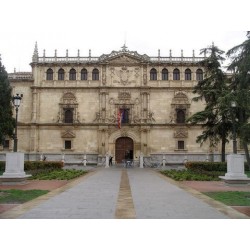 Visit to Alcalá de Henares with an official local guide