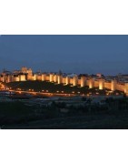 Tours outside of Madrid with guided visits to museums, palaces and monasteries